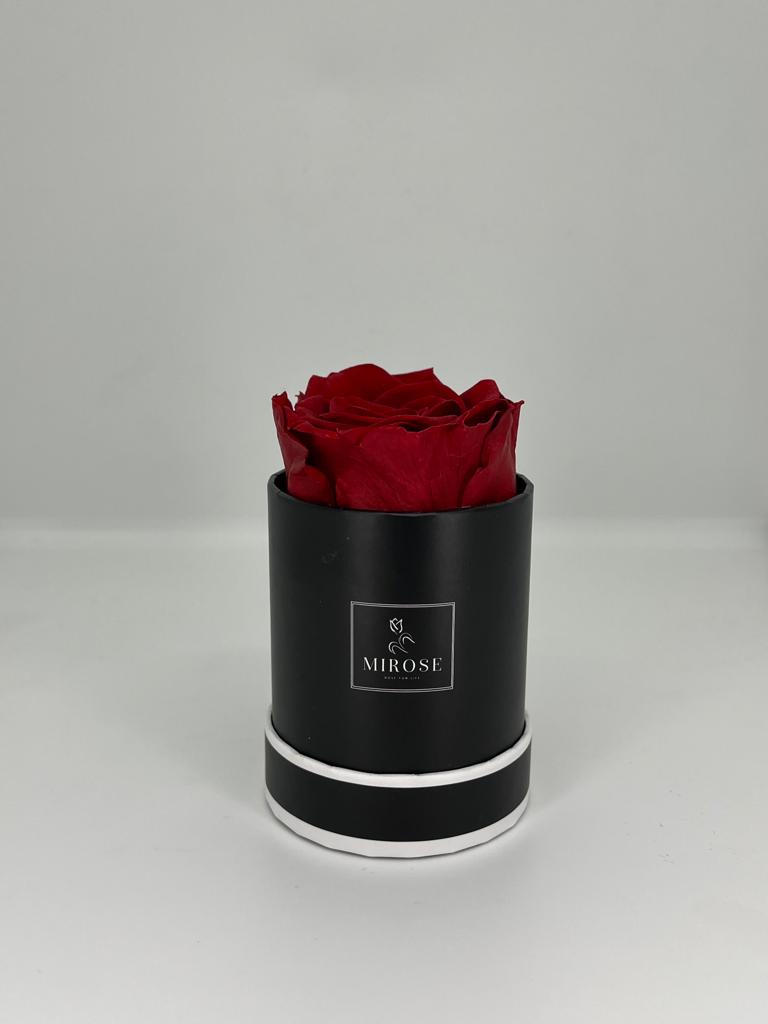 Round Box 1 Rose 4 Colors